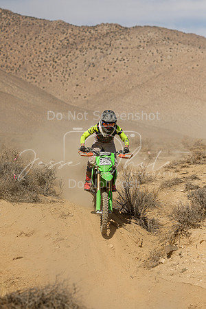IMG_8799-888j