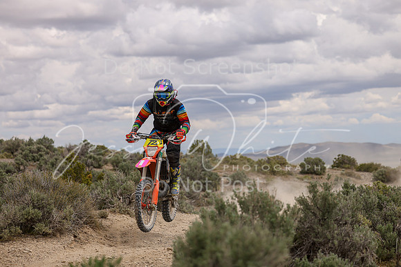 IMG_0353-72n