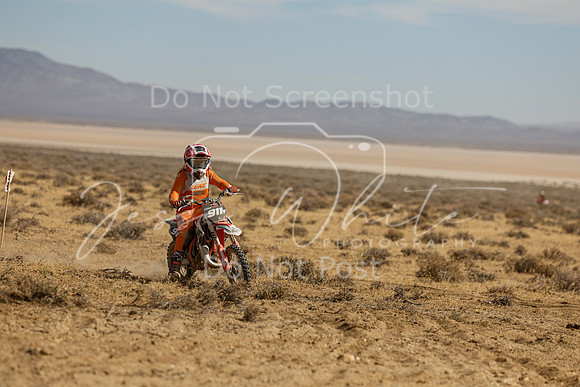 IMG_8122-911y