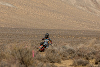 IMG_8303-700j