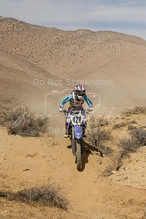 IMG_8733-828v