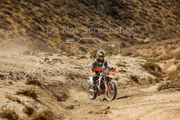 IMG_7468-912a