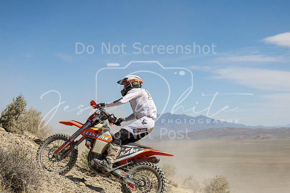IMG_3284-n31m