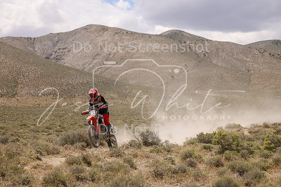 IMG_1366-85t