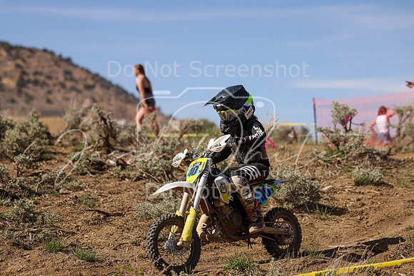 IMG_2246-40