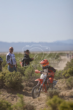 IMG_8303-411y