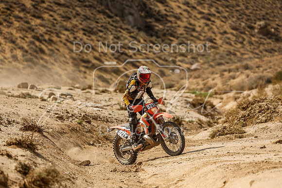 IMG_7456-921x