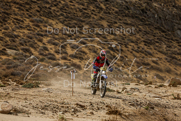 IMG_7474-474x