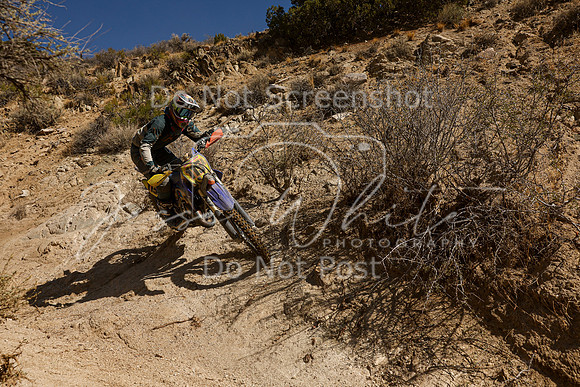 IMG_6260-115a
