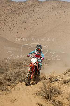 IMG_8808-227v