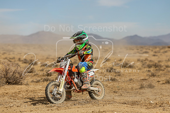 IMG_8111-308e
