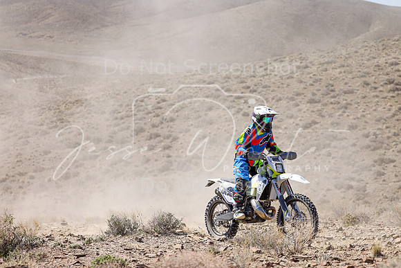IMG_0736-805s