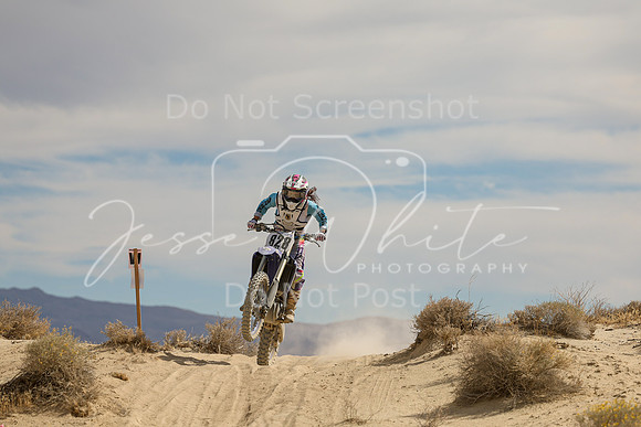 IMG_9239-828v