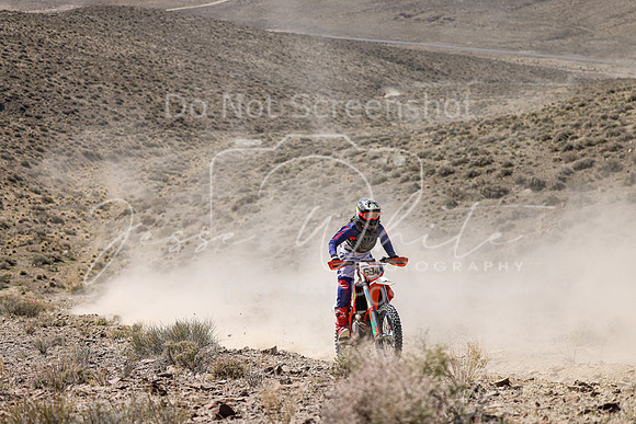 IMG_0556-694n