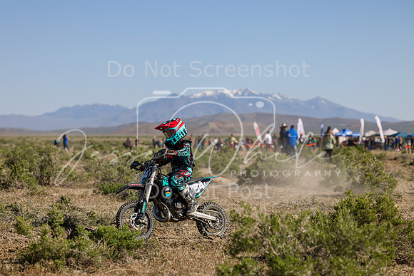 IMG_7879-94y