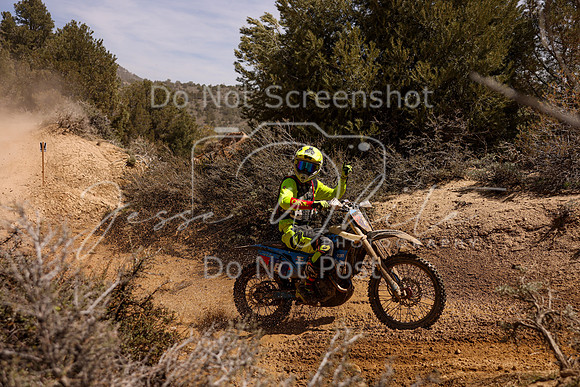 IMG_0953-8