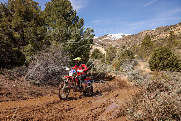 IMG_8682-43