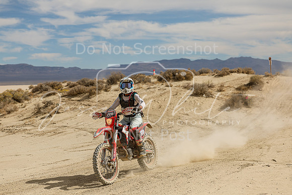 IMG_8996-111v