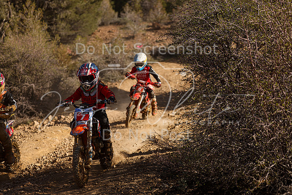 IMG_2764-7