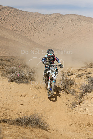 IMG_8639-111j