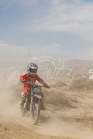 IMG_8024-808y
