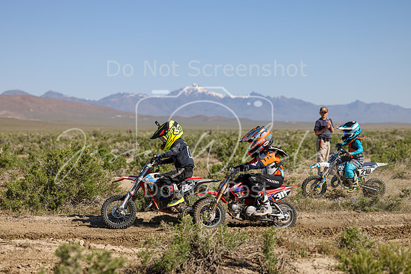 IMG_7901-5z-311f