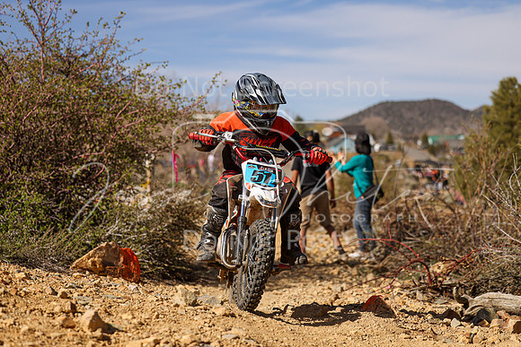 IMG_2175-51