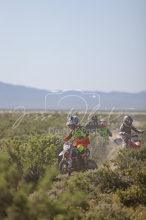IMG_8256-210z