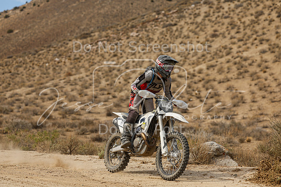 IMG_7421-999n
