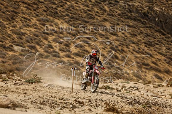 IMG_7446-92t