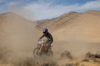 IMG_8334-113j