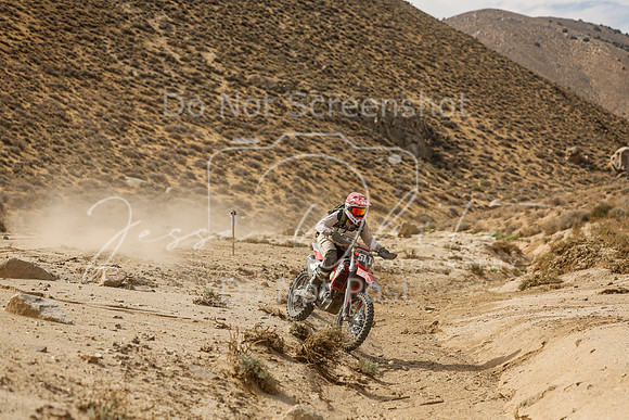 IMG_7433-51t