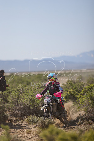 IMG_8328-802y