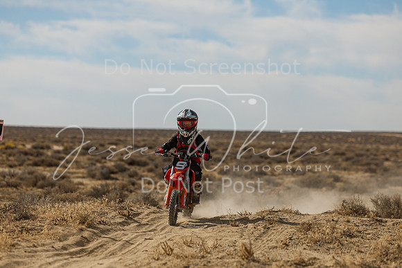 IMG_7695-9z