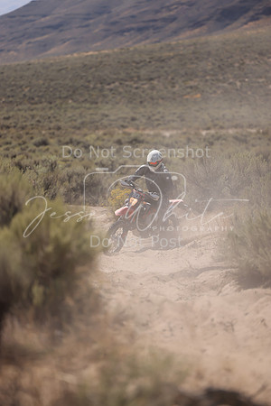 IMG_4591-80c