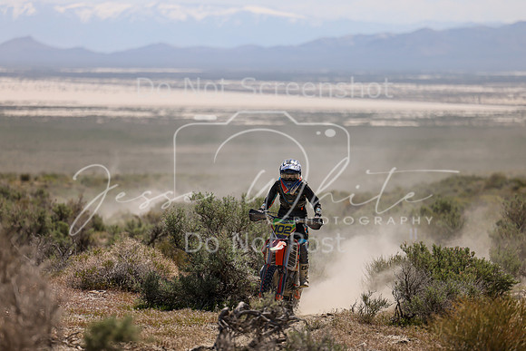 IMG_8813-102v