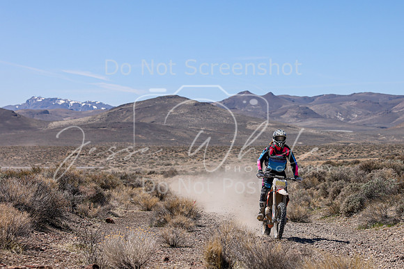 IMG_1302-85n