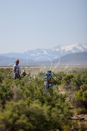 IMG_8252-210z