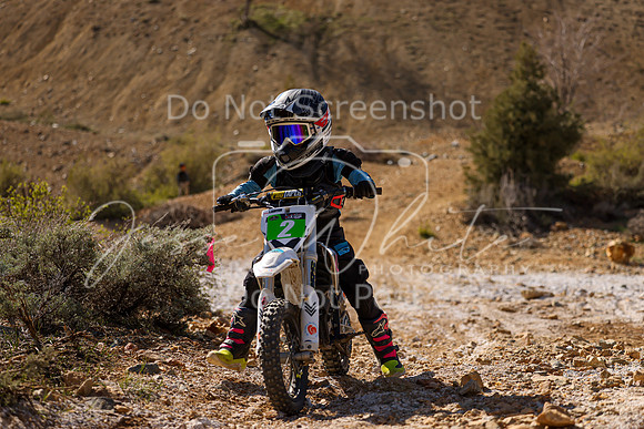 IMG_2208-2
