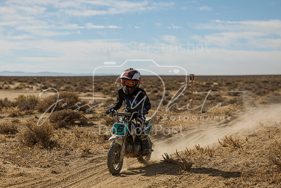 IMG_7684-6z