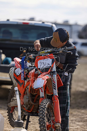 IMG_9619-731x