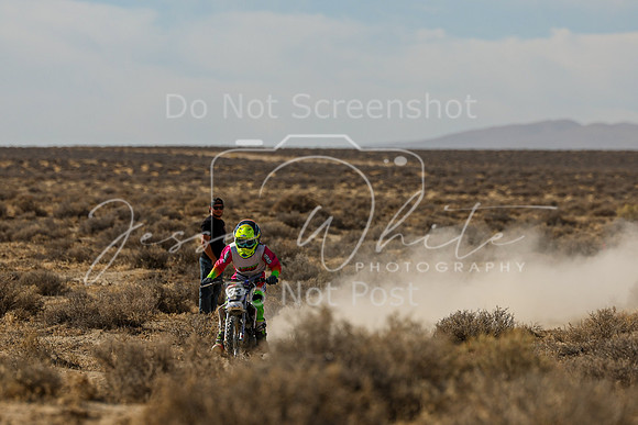 IMG_7602-33f