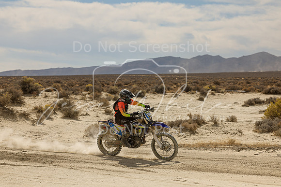 IMG_9258-513v