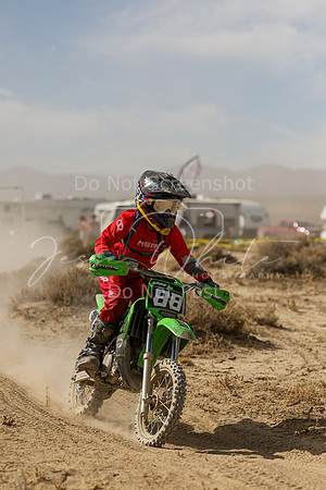 IMG_8045-88y