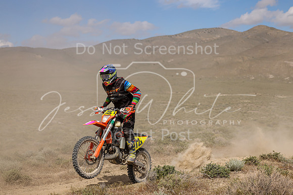IMG_9875-72n