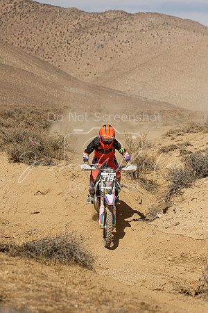 IMG_8770-379j