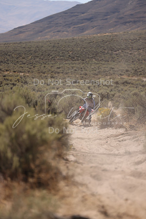IMG_4376-211a
