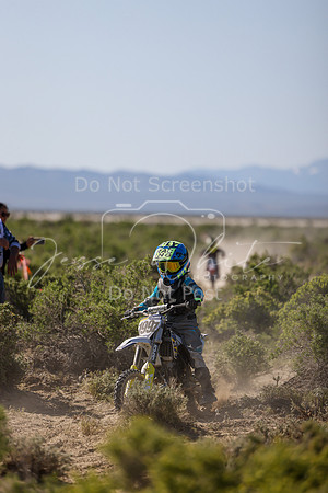 IMG_8294-199z