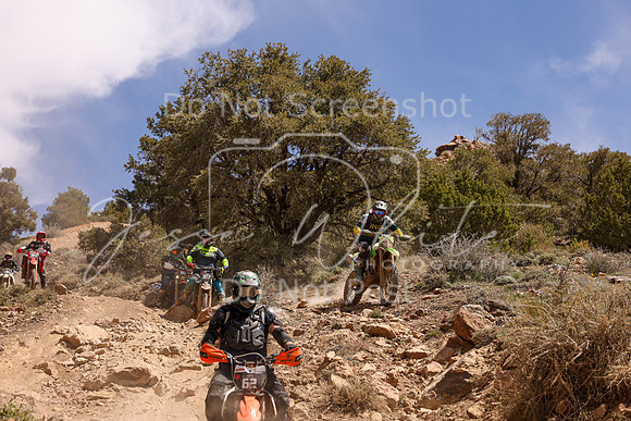 IMG_4904-62-329