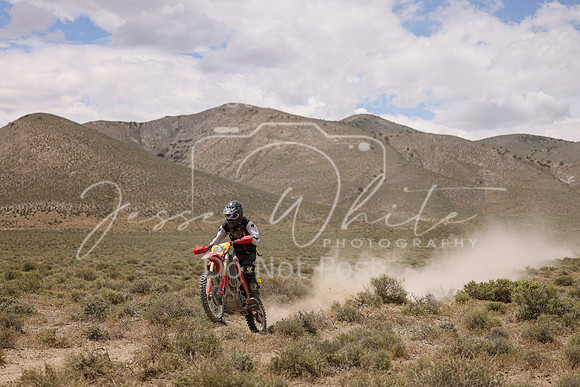 IMG_1216-80t